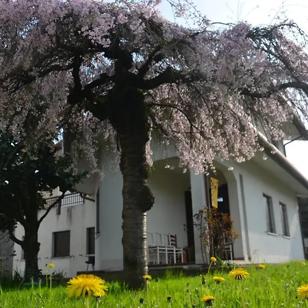 3 Double Bedrooms In Aloisia - Near Airport Венеция